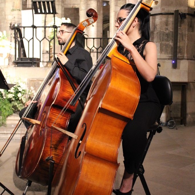 image-concert-amb-cor-2022
